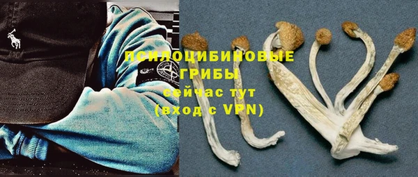 mdpv Лихославль