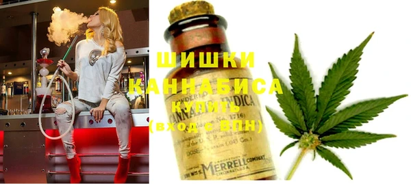молекула духа Липки